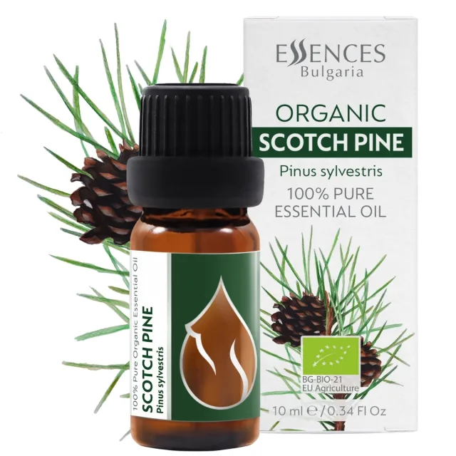 Organic Scotch Pine Essential Oil