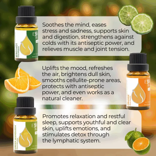 En citrus set infographic