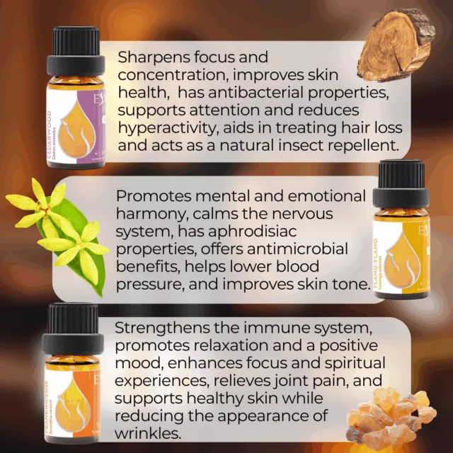 En evening meditation set infographic