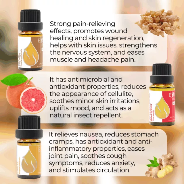 En fresh harmony set infographic