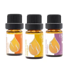 Evening meditation set - organic frankincense, ylang-ylang and cedar essential oil