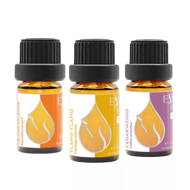 Evening meditation set - organic frankincense, ylang-ylang and cedar essential oil