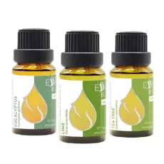 Morning Energy Set – Organic Essential Oils of Eucalyptus, Lime, and Tea Tree