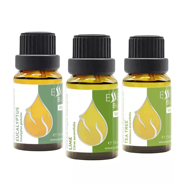 Morning Energy Set – Organic Essential Oils of Eucalyptus, Lime, and Tea Tree