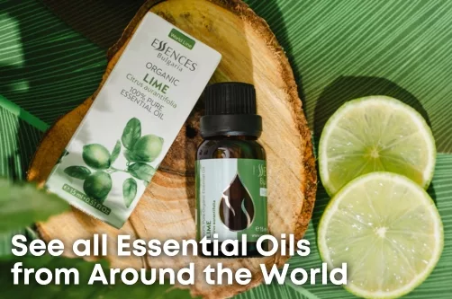 En world line podcategoriq