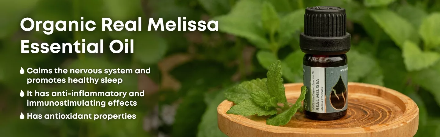 Website slider 1 melissa en