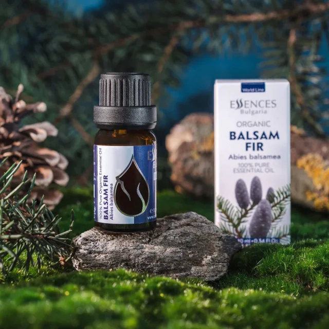 Balsam fir essential oil box essences bulgaria