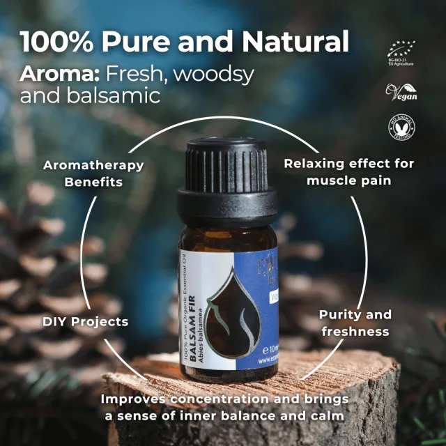 En balsam fir infographic 1