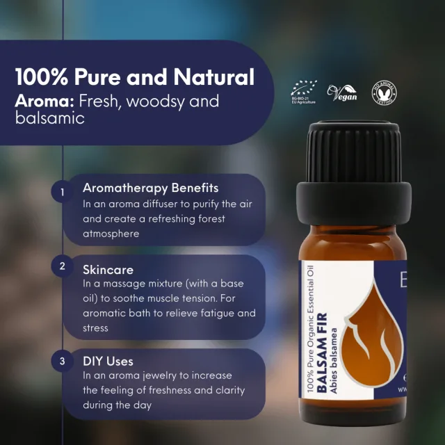 En balsam fir infographic 2