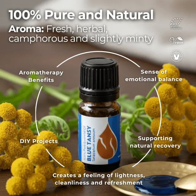 En blue tansy infographic 1