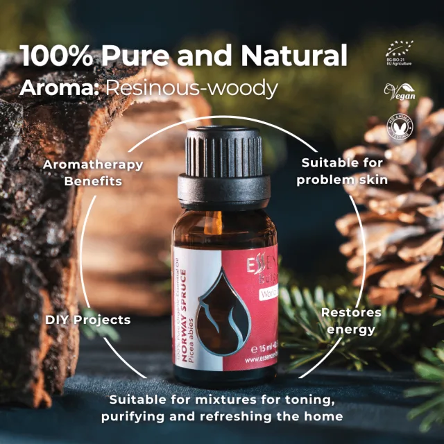 En norway spruce infographic 1