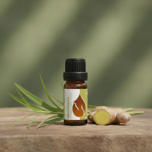 Essences bulgaria gingergrass essential oil