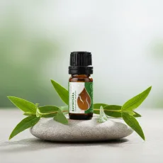 Essences bulgaria ravintsara essential oil