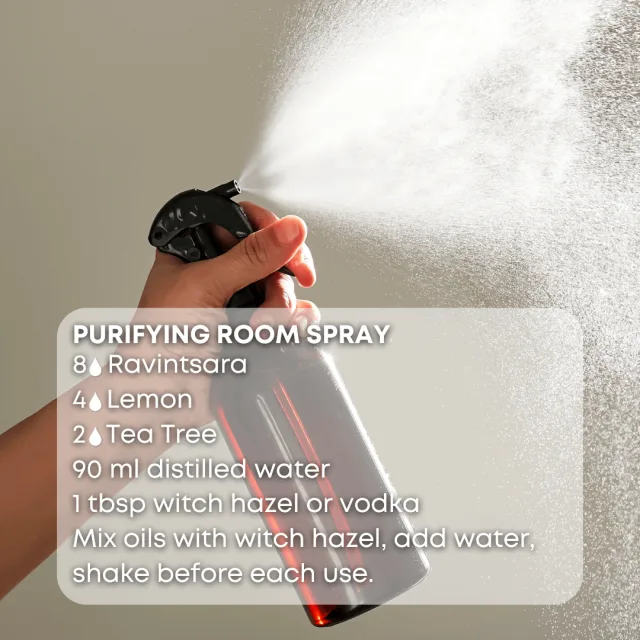 Essences bulgaria ravintsara essential oil room spray