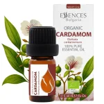 Organic Cardamom Essential Oil (5ml)