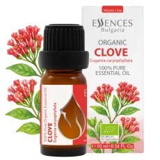 Organic clove essential oil (10ml) front